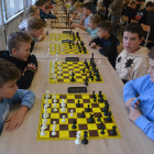zdjęcie nr 22