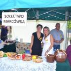 zdjęcie nr 232