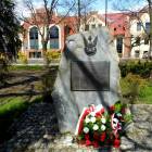 zdjęcie nr 8