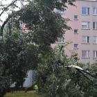 zdjęcie nr 31