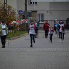 zdjęcie nr 385