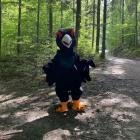 Fotka nr 3 z 4