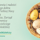 zdjęcie nr 10