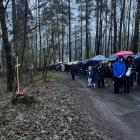 zdjęcie nr 8