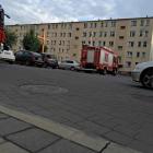 Fotka nr 2 z 7