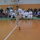 zdjęcie nr 55