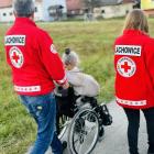 zdjęcie nr 7