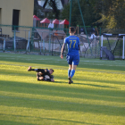 zdjęcie nr 22