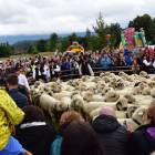zdjęcie nr 99