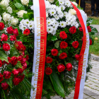 zdjęcie nr 84