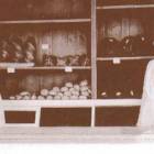 1940 rok

Babcia Maria z synem Henrykiem - ojcem obecnego właściciela