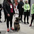 Zdjęcia: Anna Wachla