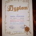 zdjęcie nr 96
