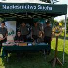 zdjęcie nr 12