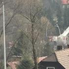  fot.: czytelnik 
