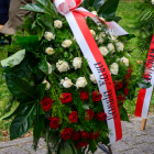 zdjęcie nr 82