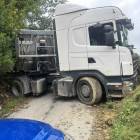 Fotka nr 4 z 5