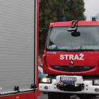 Fotka nr 3 z 21