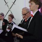 zdjęcie nr 12