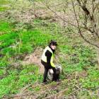 zdjęcie nr 75