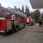 Fotka nr 5 z 8
