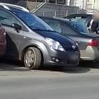 Fotka nr 0 z 1