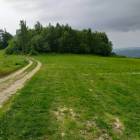 Fotka nr 2 z 4