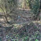 Fot. Gmina Bystra-Sidzina