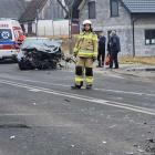 Fotka nr 1 z 12