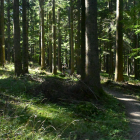zdjęcie nr 117