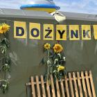 Fotka nr 2 z 41