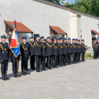 zdjęcie nr 10