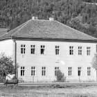 zdjęcie nr 10
