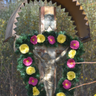 zdjęcie nr 8