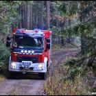 Fotka nr 2 z 26