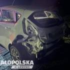 Fotka nr 2 z 4