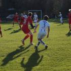 zdjęcie nr 12