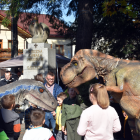 zdjęcie nr 45