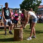 zdjęcie nr 202