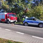 Fotka nr 1 z 4