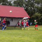 zdjęcie nr 237