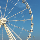 Fotka nr 3 z 12