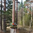 Kapliczka przed renowacją