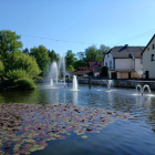 zdjęcie nr 36