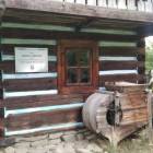 Fotka nr 5 z 21