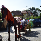 zdjęcie nr 85