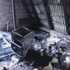Fotka nr 3 z 12