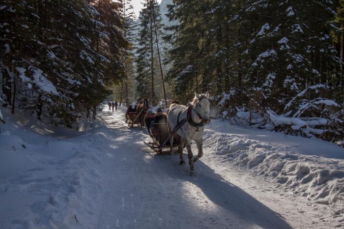 Atrakcje zimowe dla dzieci – kuligi, ogniska i dodatkowe atrakcje podczas ferii w górach.