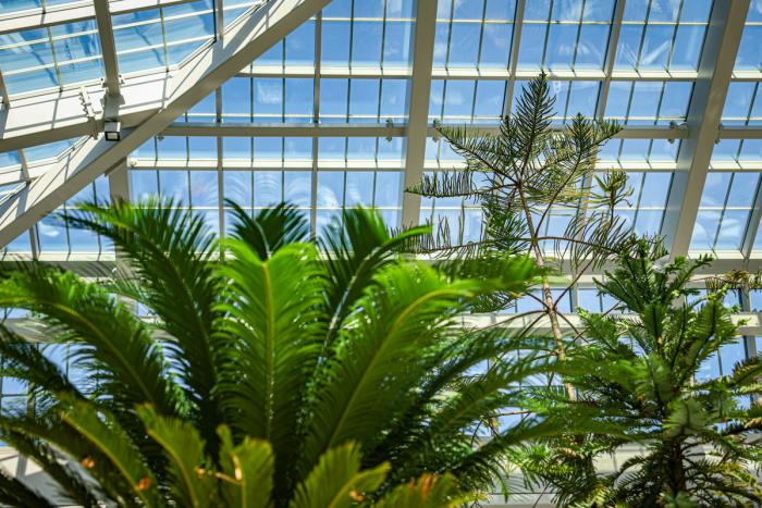 Ogród Botaniczny UJ, fot. arch. UMWM