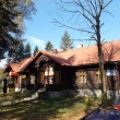 zdjęcie nr 